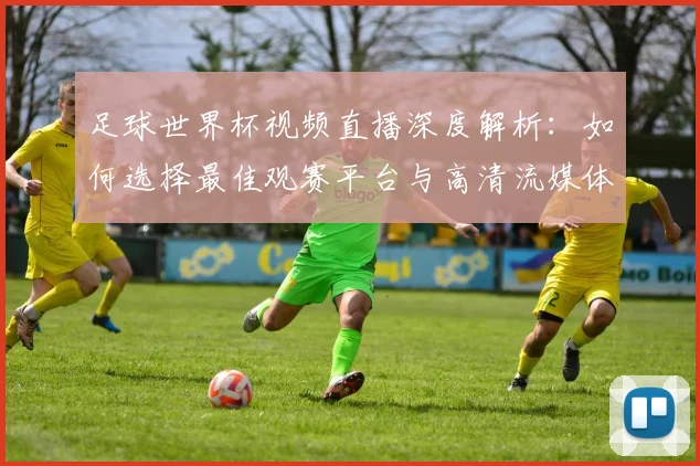 足球世界杯视频直播深度解析：如何选择最佳观赛平台与高清流媒体体验