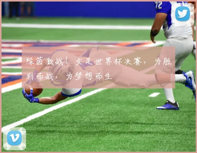 绿茵激战！女足世界杯决赛，为胜利而战，为梦想而生