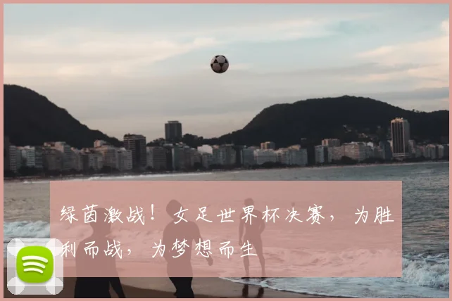 绿茵激战！女足世界杯决赛，为胜利而战，为梦想而生